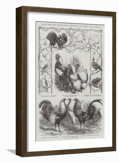 Prizes from the Metropolitan Exhibition of Poultry and Pigeons-Harrison William Weir-Framed Giclee Print