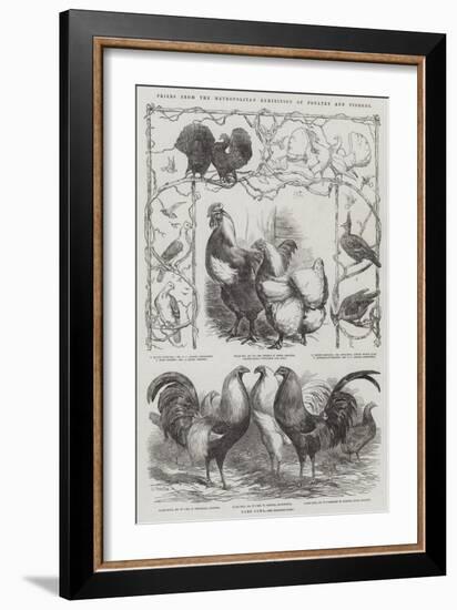 Prizes from the Metropolitan Exhibition of Poultry and Pigeons-Harrison William Weir-Framed Giclee Print