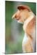 Premium Photographic Print