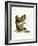 Proboscis Monkey-null-Framed Giclee Print