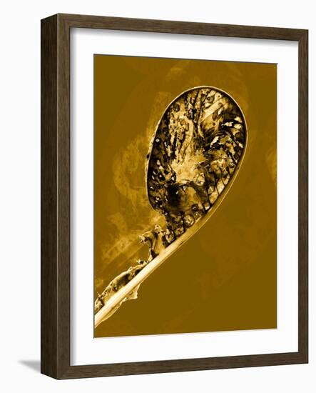 Process 4.-Petr Strnad-Framed Photographic Print