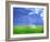 Processed Model of the Building-bioraven-Framed Art Print