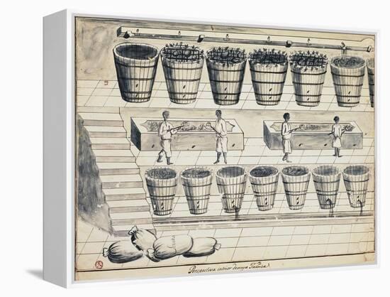 Processing Cycle for Extracting Sugar from Beet, Watercolor, Portugal, 19th Century-null-Framed Premier Image Canvas