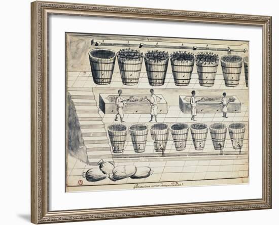 Processing Cycle for Extracting Sugar from Beet, Watercolor, Portugal, 19th Century-null-Framed Giclee Print