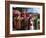 Procession for Christian Festival of Rameaux, Axoum (Axum) (Aksum), Tigre Region, Ethiopia, Africa-Bruno Barbier-Framed Photographic Print