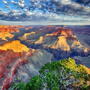 Morning Light at Grand Canyon by prochasson