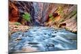 Photographic Print