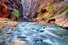 View of the Virgin River-prochasson-Photographic Print