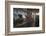 Procyon Lotor-Florian Moellers-Framed Photographic Print