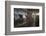 Procyon Lotor-Florian Moellers-Framed Photographic Print