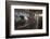 Procyon Lotor-Florian Moellers-Framed Photographic Print