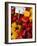 Produce at an Outdoor Market, Helsinki, Finland-Nancy & Steve Ross-Framed Photographic Print