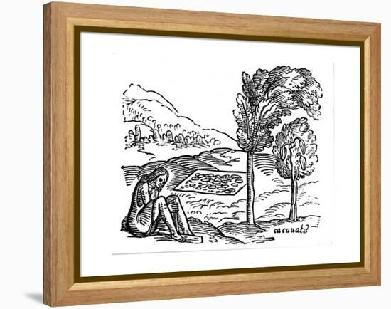 Production of Cocoa, 16th Century-null-Framed Premier Image Canvas