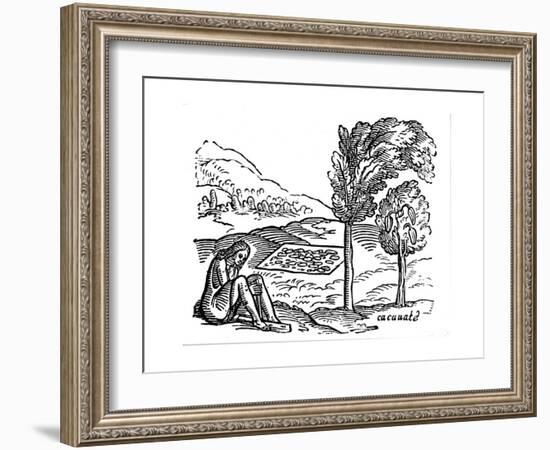 Production of Cocoa, 16th Century-null-Framed Premium Giclee Print