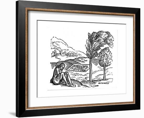Production of Cocoa, 16th Century-null-Framed Giclee Print