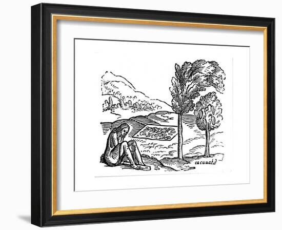 Production of Cocoa, 16th Century-null-Framed Giclee Print
