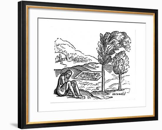 Production of Cocoa, 16th Century-null-Framed Giclee Print