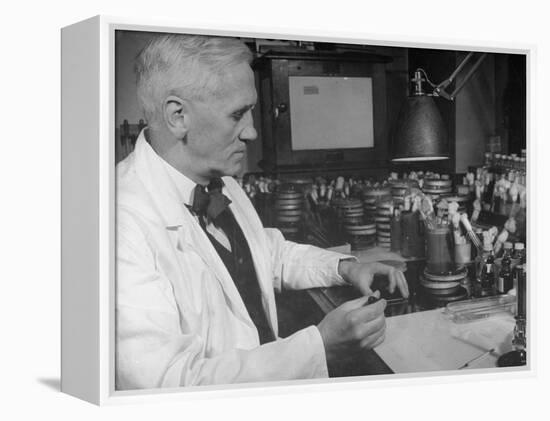 Prof. Alexander Fleming Working in Laboratory-null-Framed Premier Image Canvas