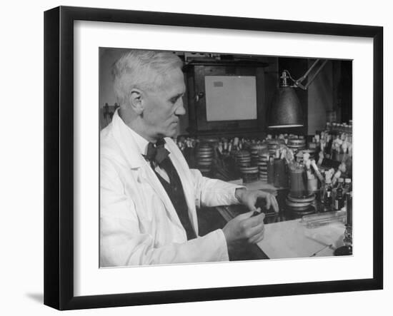 Prof. Alexander Fleming Working in Laboratory-null-Framed Photographic Print