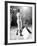 Professional Dancers Performing the Mambo-Yale Joel-Framed Photographic Print