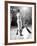 Professional Dancers Performing the Mambo-Yale Joel-Framed Photographic Print