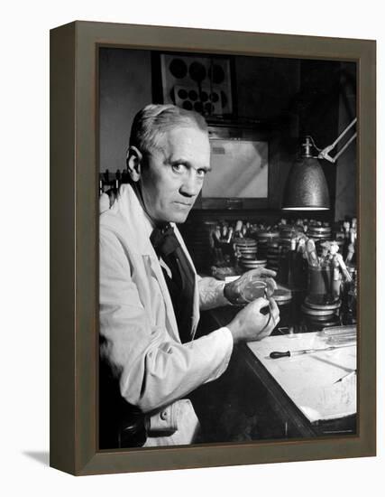 Professor Alexander Fleming Working in Laboratory-Hans Wild-Framed Premier Image Canvas