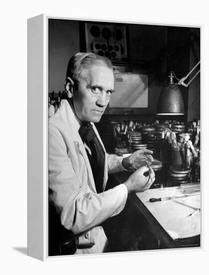 Professor Alexander Fleming Working in Laboratory-Hans Wild-Framed Premier Image Canvas