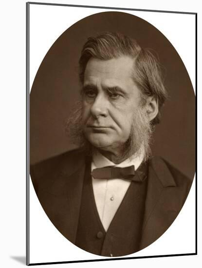 Professor Thomas Henry Huxley, 1880-Lock & Whitfield-Mounted Photographic Print