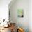 Profil De Jeune Fille (Pastel)-Odilon Redon-Giclee Print displayed on a wall