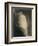 Profil de lumière: profil de femme voilée-Odilon Redon-Framed Giclee Print
