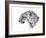 Profile (Arabian Leopard), 2008-Mark Adlington-Framed Giclee Print