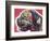 Profile Mastiff-Dean Russo-Framed Giclee Print