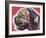 Profile Mastiff-Dean Russo-Framed Giclee Print