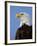 Profile of a Bald Eagle-Joe McDonald-Framed Photographic Print