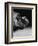 Profile of a Boxer-Henry Horenstein-Framed Photographic Print