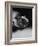 Profile of a Boxer-Henry Horenstein-Framed Photographic Print