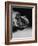 Profile of a Boxer-Henry Horenstein-Framed Photographic Print