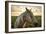 Profile of a Horse, Close-Up, with a Mini Horse in the Background-Jeffrey Schwartz-Framed Photographic Print