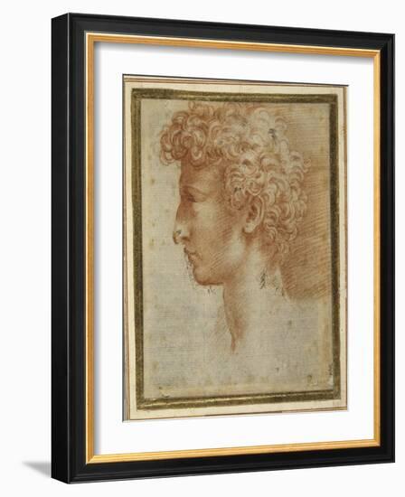 Profile of a Young Man-Parmigianino-Framed Giclee Print