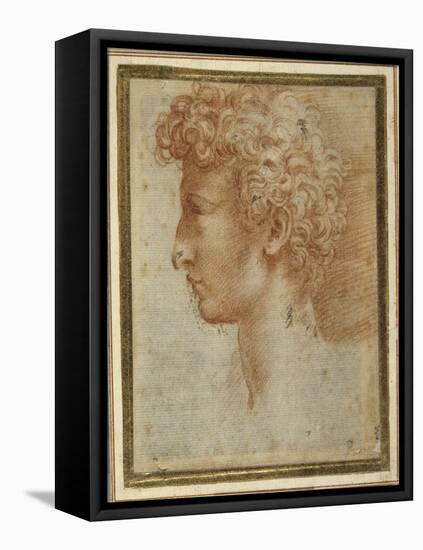 Profile of a Young Man-Parmigianino-Framed Premier Image Canvas