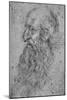 'Profile of an Old, Bearded Man to the Left', c1480 (1945)-Leonardo Da Vinci-Mounted Giclee Print