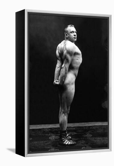 Profile of Arm, Shoulder, and Upper Back Flex-null-Framed Stretched Canvas