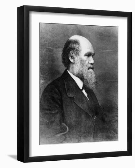 Profile of Author Charles Darwin-Bettmann-Framed Photographic Print