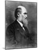 Profile of Author Charles Darwin-Bettmann-Mounted Photographic Print