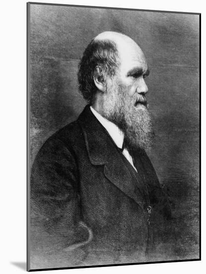 Profile of Author Charles Darwin-Bettmann-Mounted Photographic Print