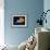 Profile of Floating Jellyfish with Trailing Tentacles.-Reinhold Leitner-Framed Photographic Print displayed on a wall