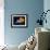 Profile of Floating Jellyfish with Trailing Tentacles.-Reinhold Leitner-Framed Photographic Print displayed on a wall