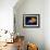 Profile of Floating Jellyfish with Trailing Tentacles.-Reinhold Leitner-Framed Photographic Print displayed on a wall