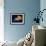 Profile of Floating Jellyfish with Trailing Tentacles.-Reinhold Leitner-Framed Photographic Print displayed on a wall