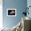 Profile of Floating Jellyfish with Trailing Tentacles.-Reinhold Leitner-Framed Photographic Print displayed on a wall